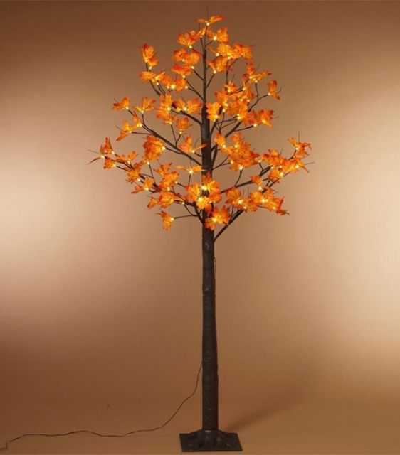 lighted maple tree